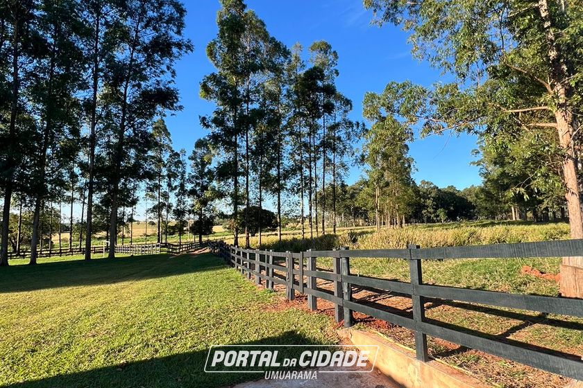 Ch&aacute;cara &agrave; venda - 20000m&sup2; - Estrada  Jaborandi