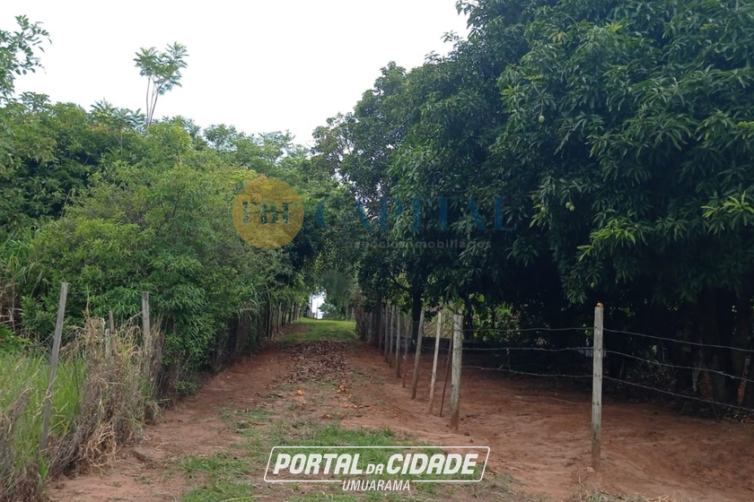 Ch&aacute;cara &agrave; venda - 5m&sup2; - Estrada Pav&atilde;o