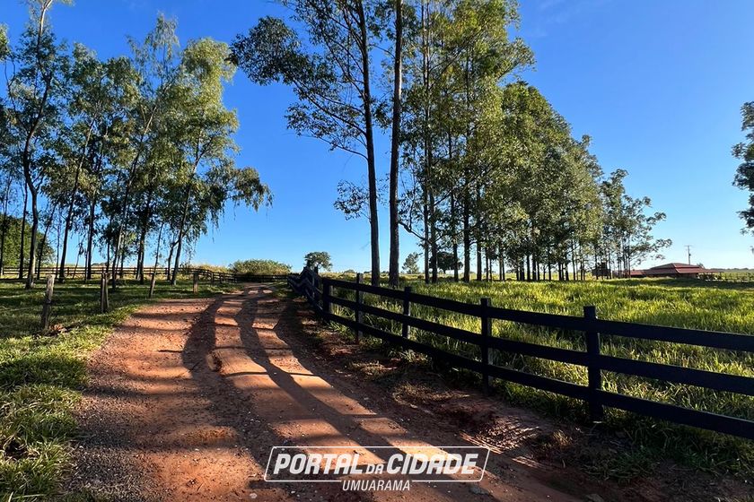 Ch&aacute;cara &agrave; venda - 20000m&sup2; - Estrada  Jaborandi