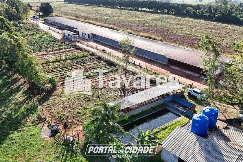 Ch&aacute;cara &agrave; venda - 48400m&sup2; - Santa Eliza