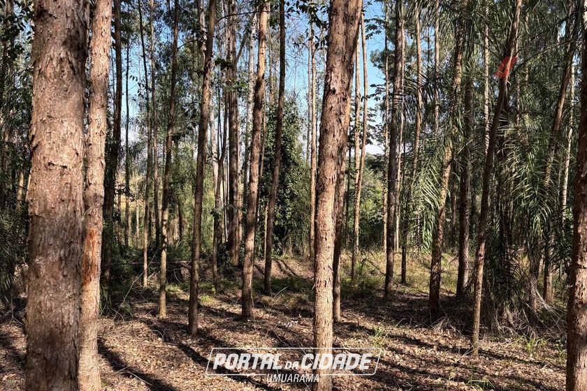 Fazenda &agrave; venda - 52598m&sup2; - Zona Rural