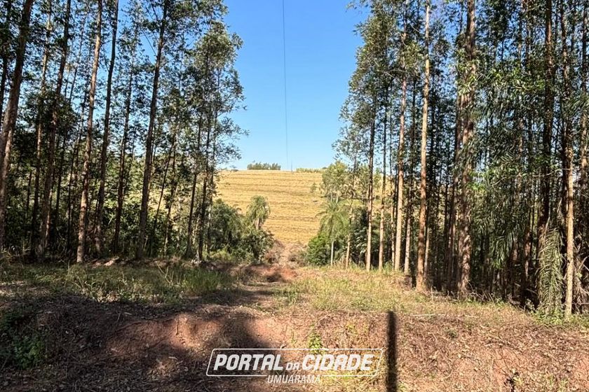 Fazenda &agrave; venda - 52598m&sup2; - Zona Rural