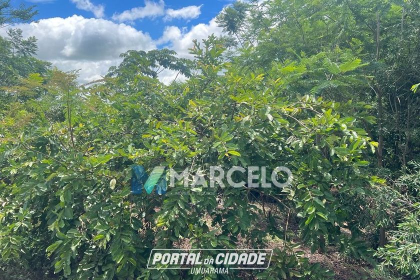 Ch&aacute;cara &agrave; venda - 4597m&sup2; - -