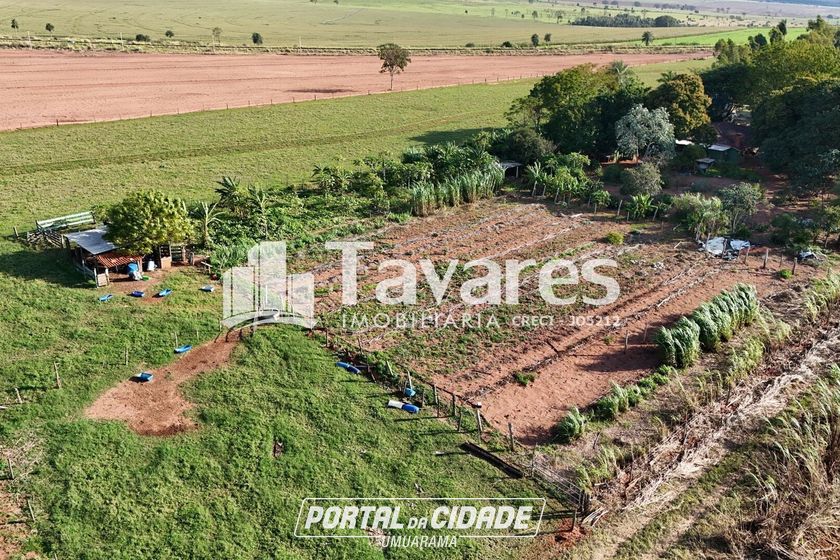 Ch&aacute;cara &agrave; venda - 48400m&sup2; - Santa Eliza
