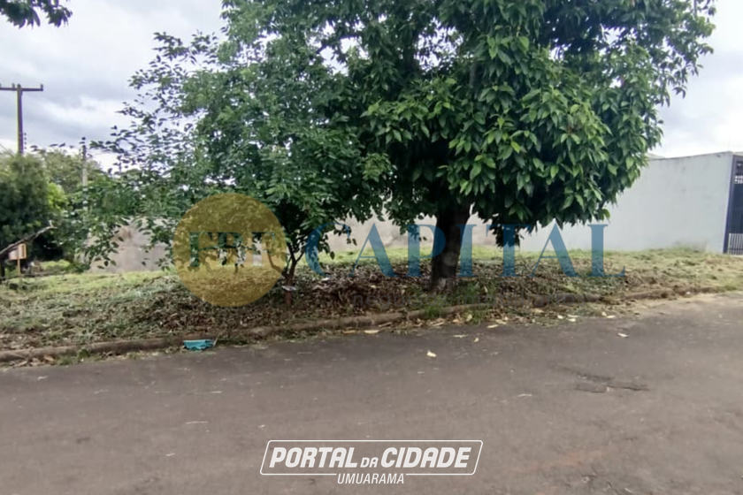 Terreno &agrave; venda - 249m&sup2; - Jardim dos Pass&aacute;ros
