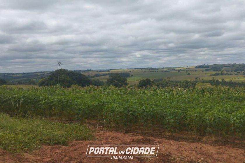 Ch&aacute;cara &agrave; venda - 5m&sup2; - Rodovia PR-489