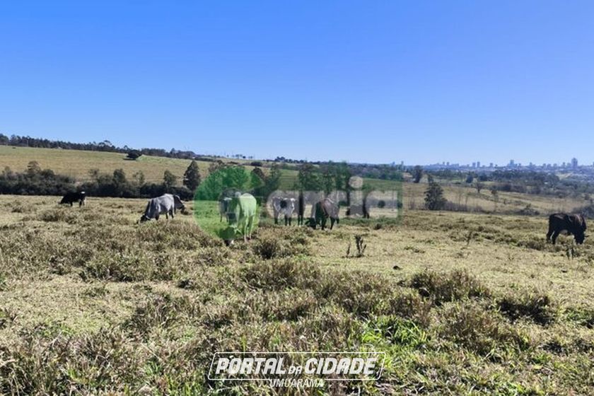 Terreno &agrave; venda - 1196m&sup2; - -