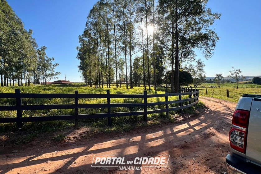 Ch&aacute;cara &agrave; venda - 20000m&sup2; - Estrada  Jaborandi