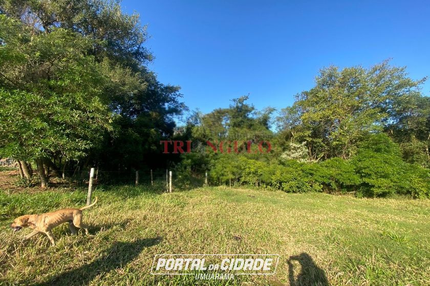 Terreno &agrave; venda - 20000m&sup2; - PARQUE LAGO AZUL