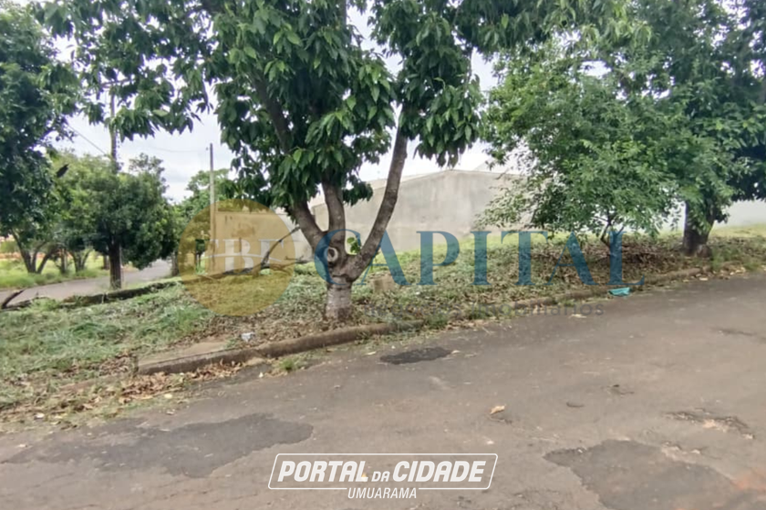 Terreno &agrave; venda - 249m&sup2; - Jardim dos Pass&aacute;ros