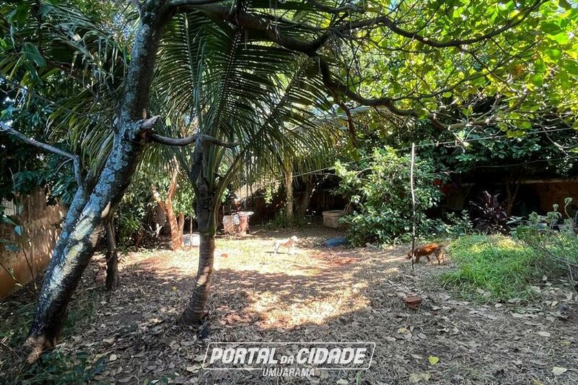 Terreno &agrave; venda - 114m&sup2; - ZONA I