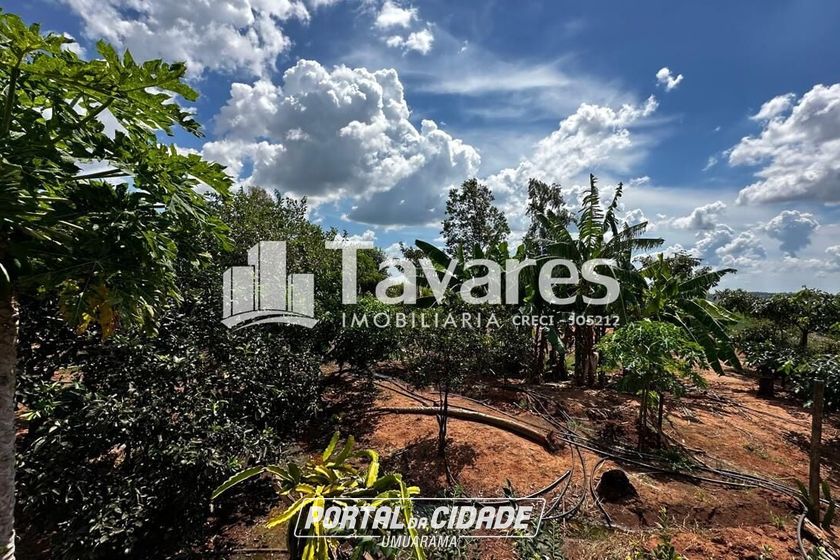 Ch&aacute;cara &agrave; venda - &Aacute;rea Rural de Umuarama
