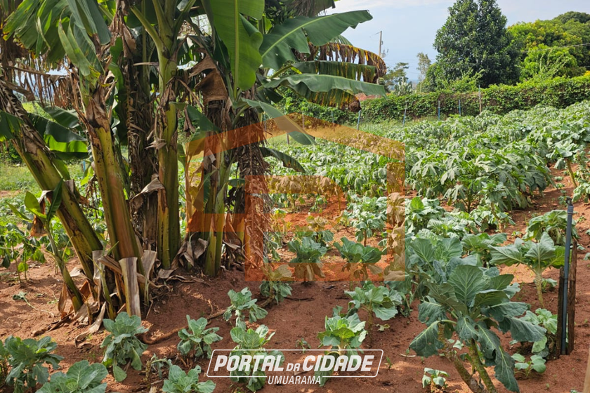 Ch&aacute;cara &agrave; venda - 21000m&sup2; - Zona Rural