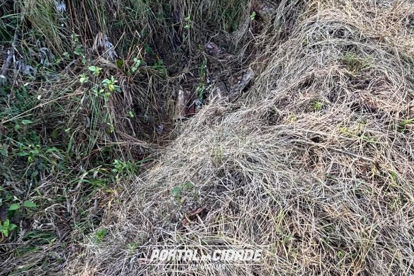 Fazenda &agrave; venda - 27383m&sup2; - Zona Rural