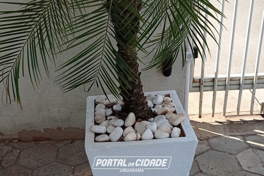 Apartamento &agrave; venda - 63m&sup2; - ZONA I