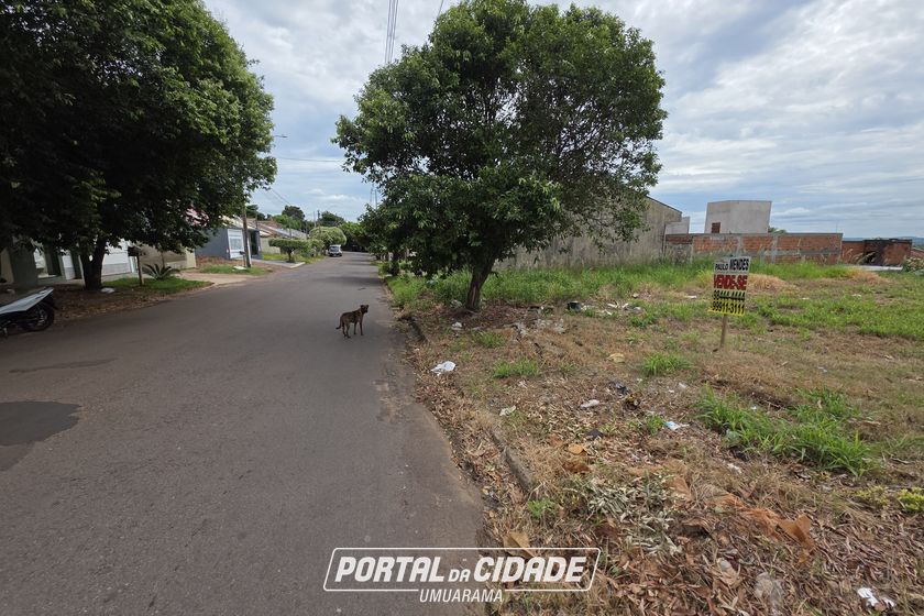 Terreno &agrave; venda - 210m&sup2; - JARDIM ORIENTE