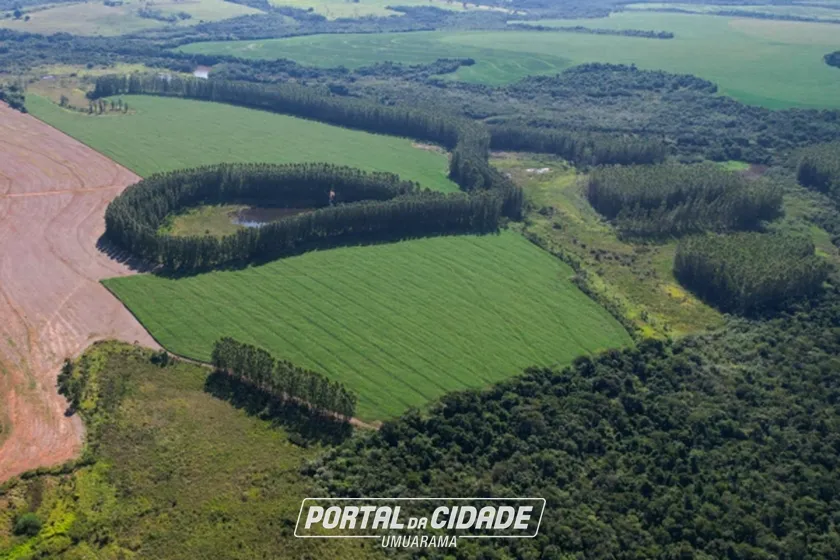 Fazenda &agrave; venda - 72m&sup2; - PR-468