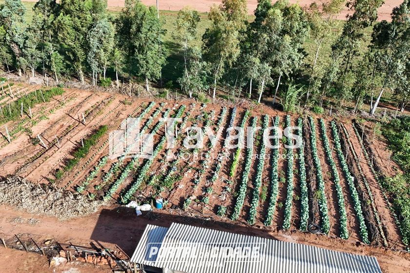 Ch&aacute;cara &agrave; venda - 48400m&sup2; - Santa Eliza