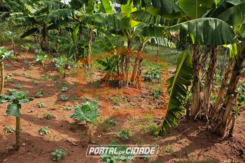 Ch&aacute;cara &agrave; venda - 21000m&sup2; - Zona Rural