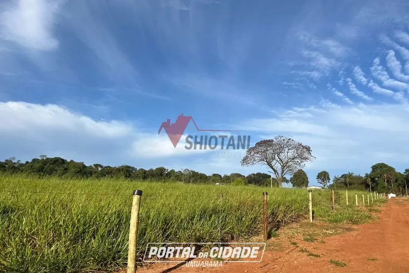 Ch&aacute;cara &agrave; venda - &Aacute;rea Rural de Umuarama