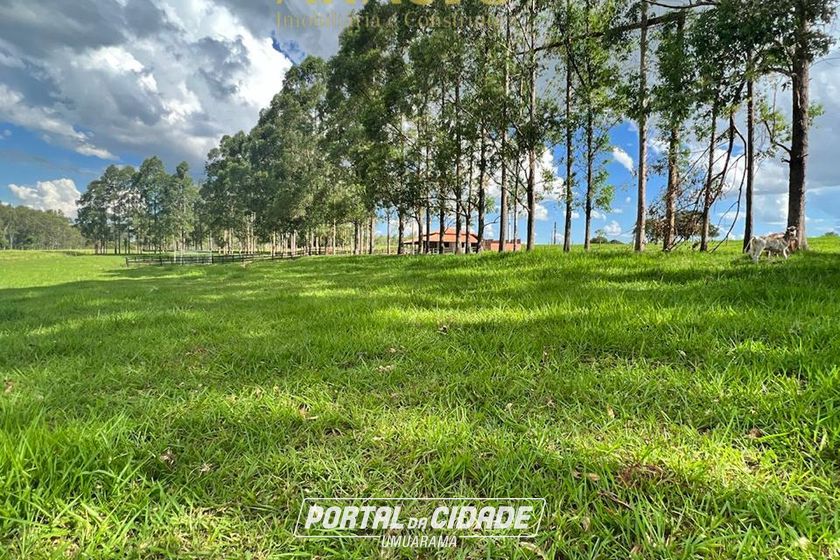 Ch&aacute;cara &agrave; venda - 20000m&sup2; - Estrada  Jaborandi