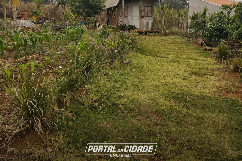 Ch&aacute;cara &agrave; venda - 1000m&sup2; - Zona Rural