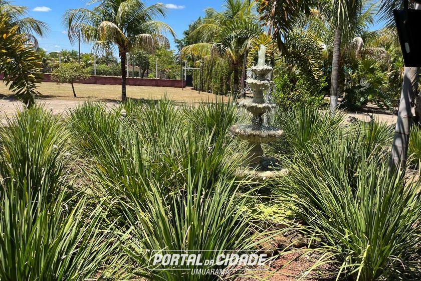 Ch&aacute;cara &agrave; venda - 11000m&sup2; - PR-323