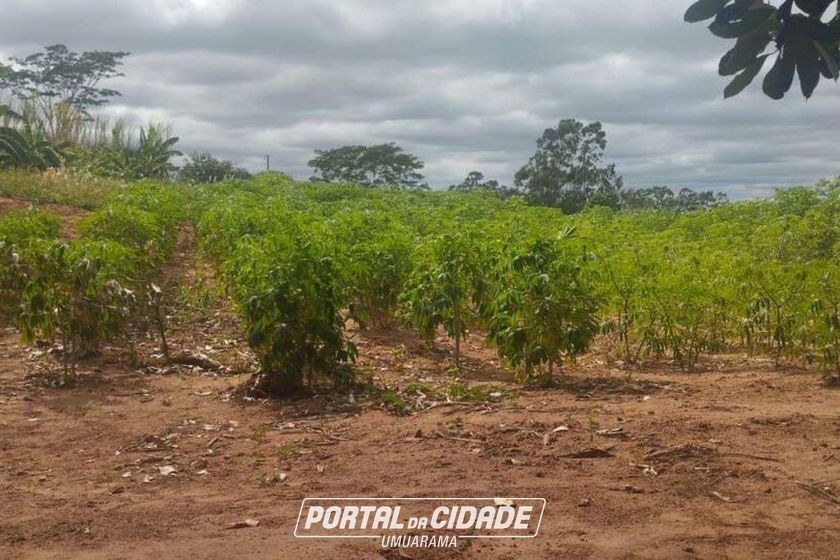 Ch&aacute;cara &agrave; venda - 5m&sup2; - Rodovia PR-489