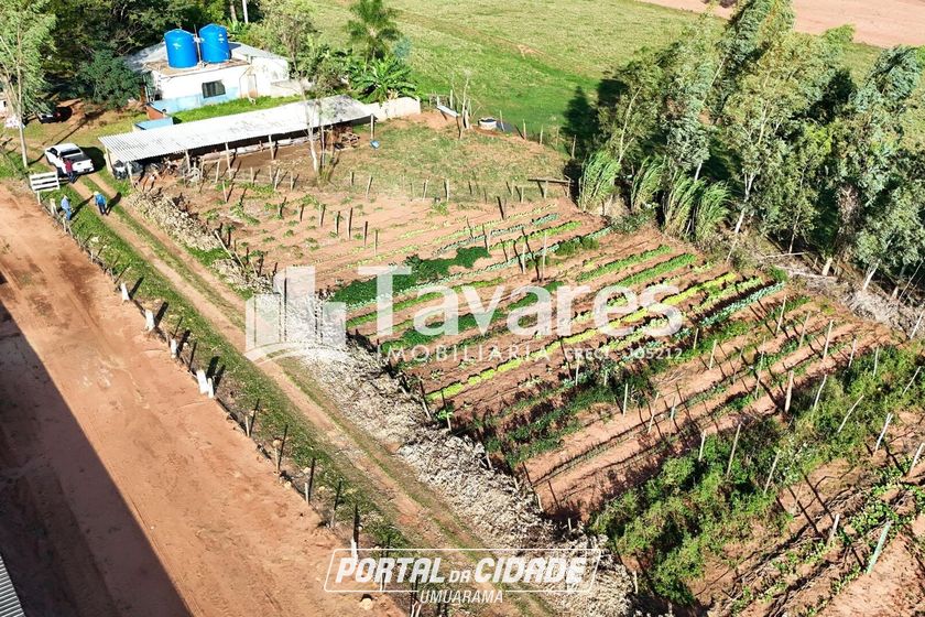 Ch&aacute;cara &agrave; venda - 48400m&sup2; - Santa Eliza