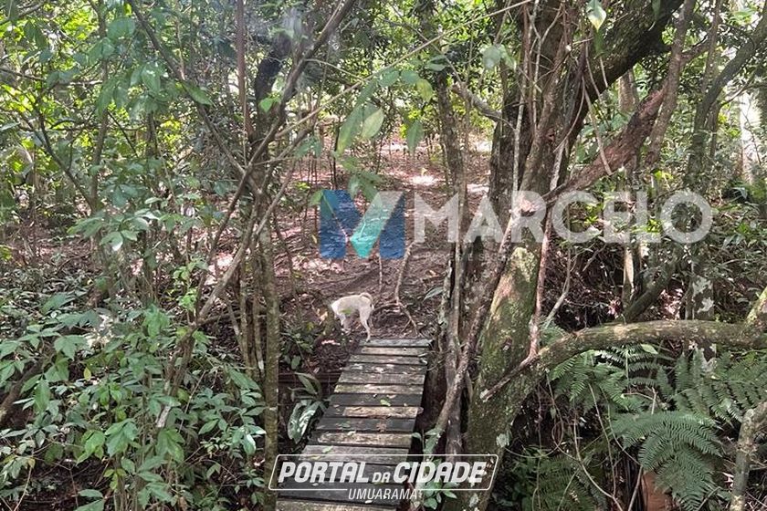 Ch&aacute;cara &agrave; venda - 4597m&sup2; - -