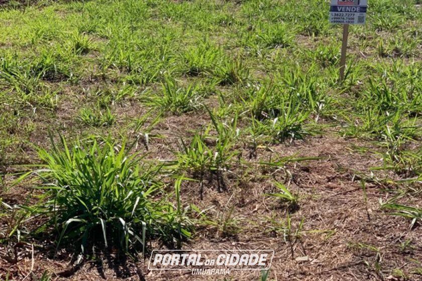 Terreno &agrave; venda - 220m&sup2; - Parque Metropolitano