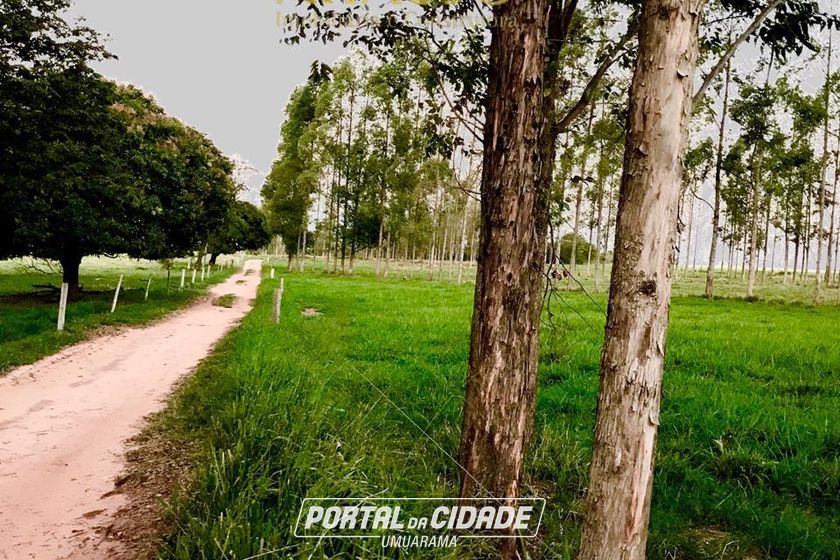 Ch&aacute;cara &agrave; venda - 20000m&sup2; - Estrada  Jaborandi