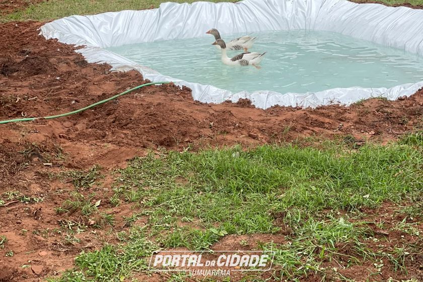 Ch&aacute;cara &agrave; venda - Rod. Henio Romagnoli