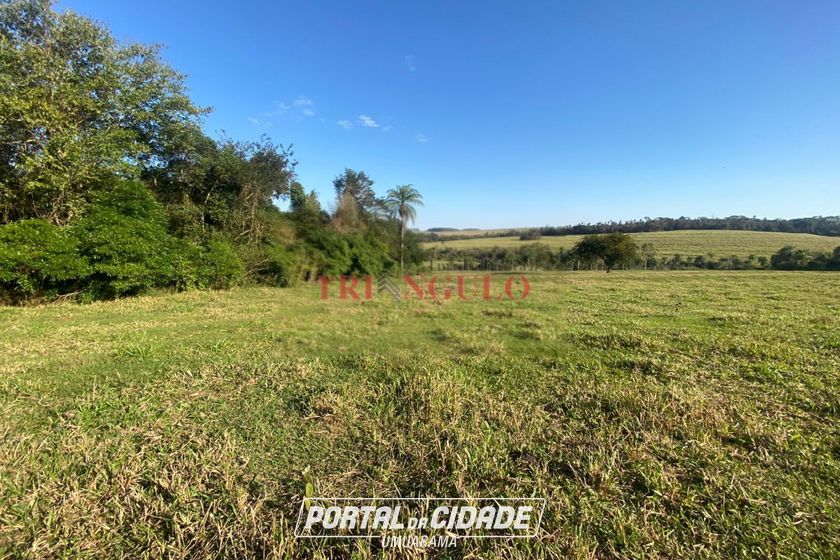 Terreno &agrave; venda - 20000m&sup2; - PARQUE LAGO AZUL