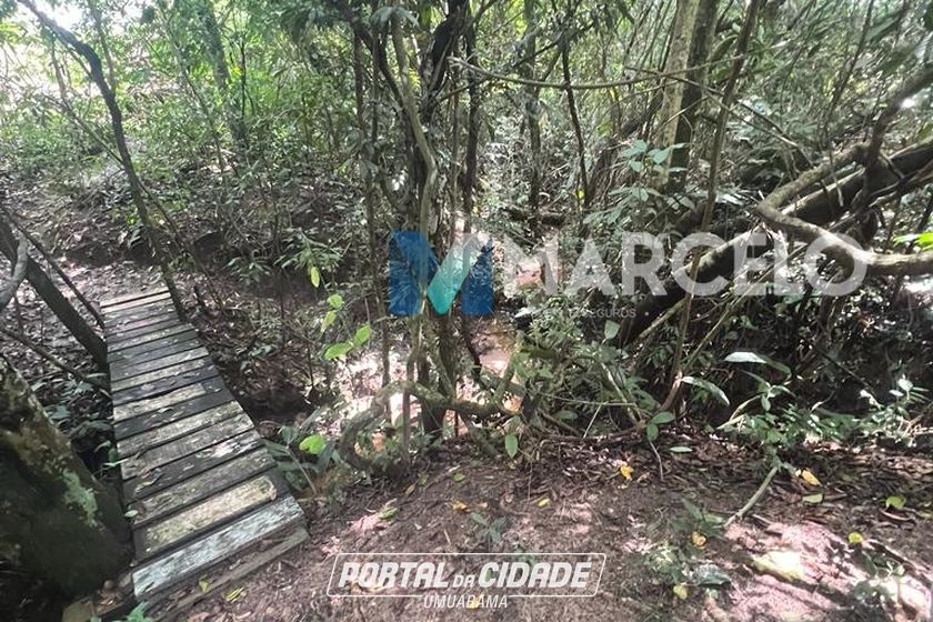 Ch&aacute;cara &agrave; venda - 4597m&sup2; - -