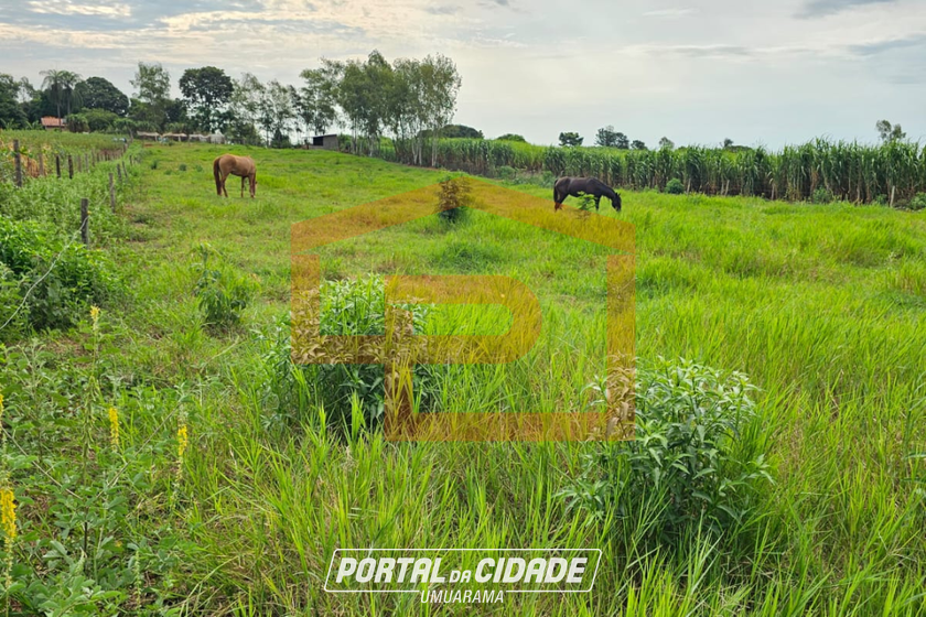 Ch&aacute;cara &agrave; venda - 21000m&sup2; - Zona Rural