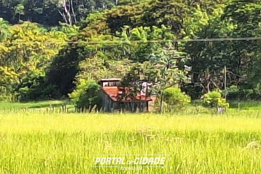 S&iacute;tio &agrave; venda - 7m&sup2; - Conjunto Habitacional Sonho Meu