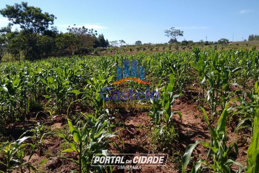 Ch&aacute;cara &agrave; venda - 5000m&sup2; - &Aacute;rea Rural de Umuarama