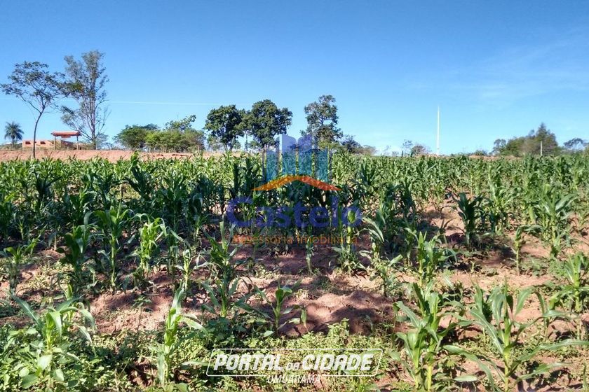 Ch&aacute;cara &agrave; venda - 5000m&sup2; - &Aacute;rea Rural de Umuarama
