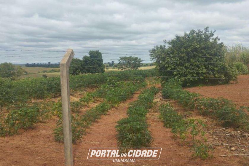 Ch&aacute;cara &agrave; venda - 5m&sup2; - Rodovia PR-489