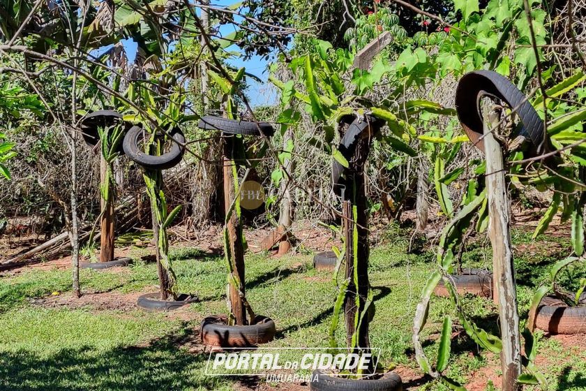 Ch&aacute;cara &agrave; venda - 369m&sup2; - Jardim T&oacute;quio