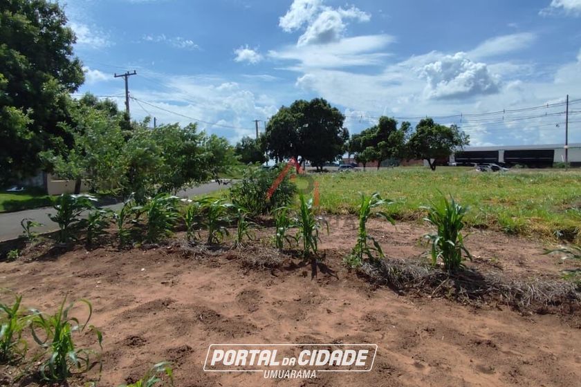 Terreno &agrave; venda - 275m&sup2; - Parque Alto da Paran&aacute;