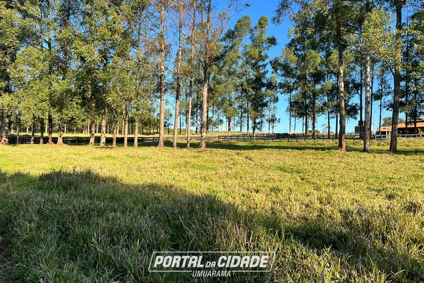 Ch&aacute;cara &agrave; venda - 20000m&sup2; - Estrada  Jaborandi