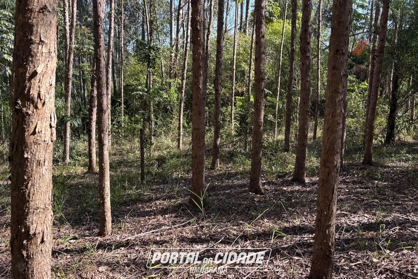 Fazenda &agrave; venda - 52598m&sup2; - Zona Rural