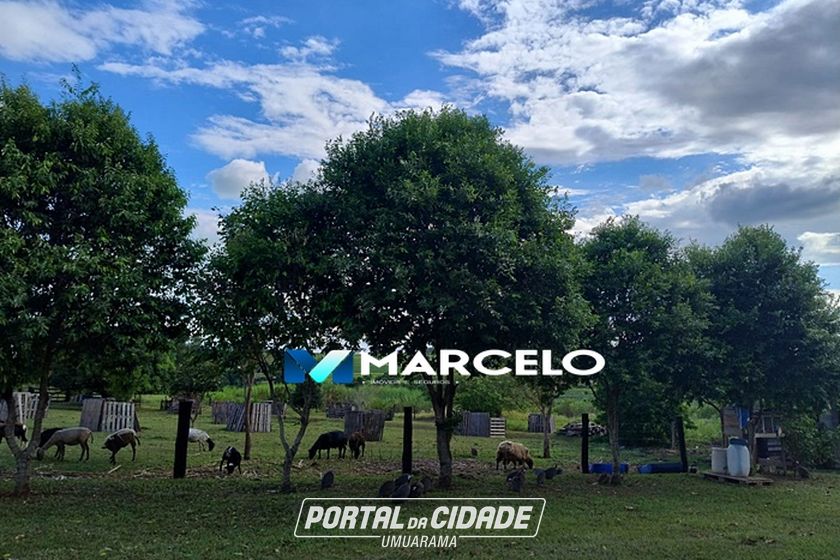 Ch&aacute;cara &agrave; venda - 26m&sup2; - PR 489