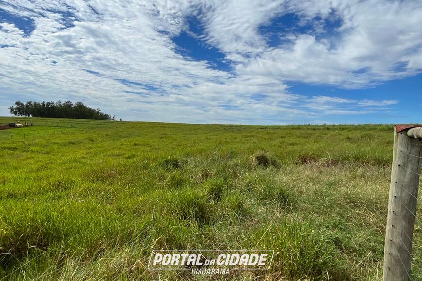Ch&aacute;cara &agrave; venda - 24m&sup2; - SERRA DOS DOURADOS