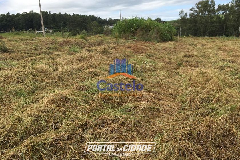 Ch&aacute;cara &agrave; venda - 5000m&sup2; - &Aacute;rea Rural de Umuarama