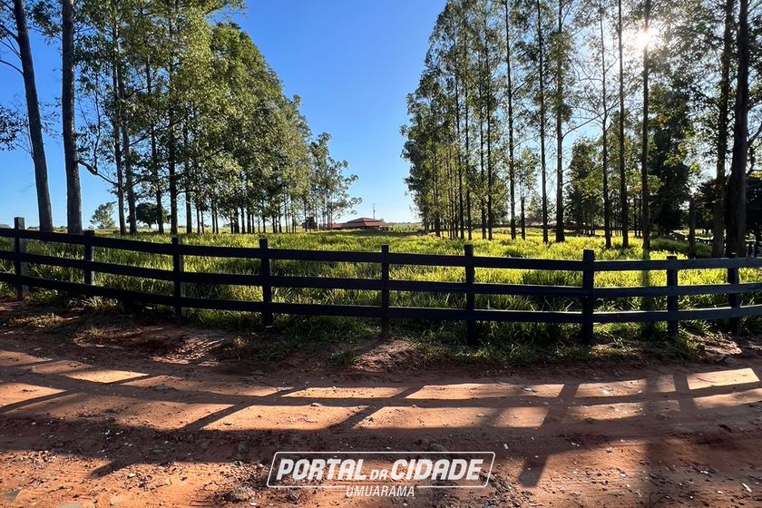 Ch&aacute;cara &agrave; venda - 20000m&sup2; - Estrada  Jaborandi