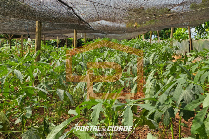 Ch&aacute;cara &agrave; venda - 21000m&sup2; - Zona Rural
