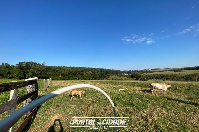 Terreno &agrave; venda - 20000m&sup2; - PARQUE LAGO AZUL